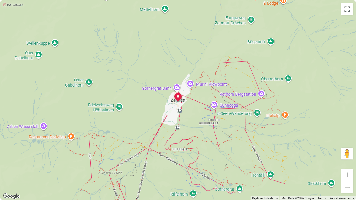 Terrain map theme: a rental location pin on a light map