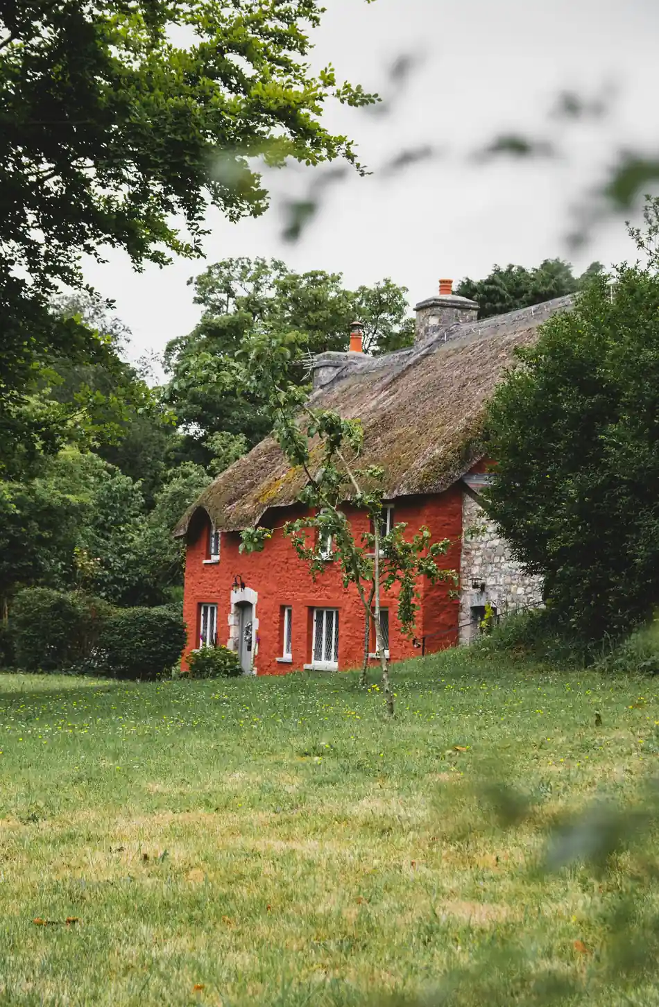 Secluded countryside cottage surrounded by trees and greenery